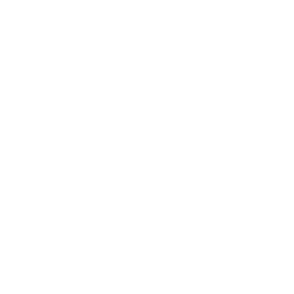 Precision Health Leads logo